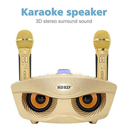 SD306 Dual Wireless Karaoke Microphone and Mixer System,[Upgraded Version] Dual Channel Handheld Microphone Karaoke for Dj Party,Church, Wedding, Home Party, Speech