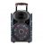12″ Portable Trolley Speakers SY-12G