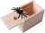 Wooden Spider Prank Scare Box Rich Unique Detailed Design Durable Sturdy